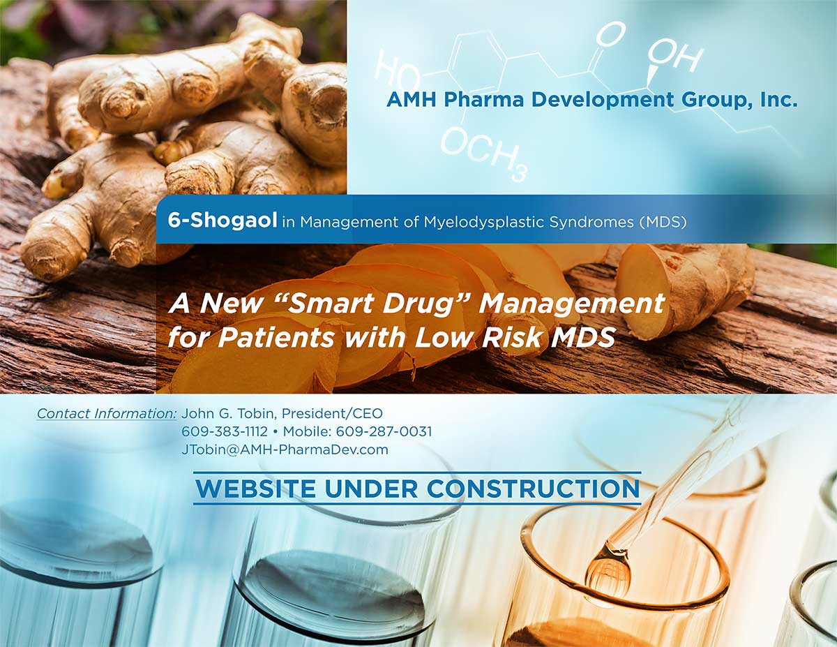 AMH Pharma Development Group Inc.